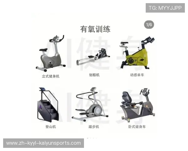 全部健身器材名称及图片展示详解指南 全部健身器材名称及图片展示详解指南