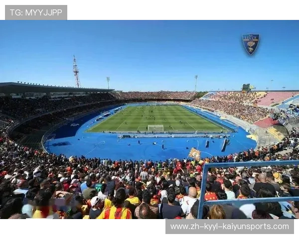 意甲各支球队专业球场设施及容量一览